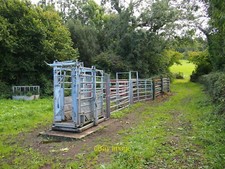 Photo 12x8 Cattle Crush and Pens  c2021