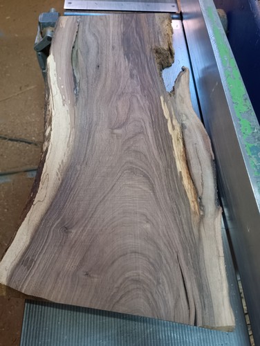 560 310 23mm english walnut - walnut, kd