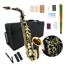 Black Alto Saxophone Eb Flat Sax Brass Instrument with Case & Accessories