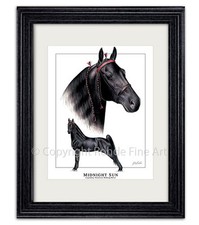 MIDNIGHT SUN - famous