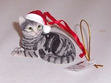 Country Artists Silver Tabby