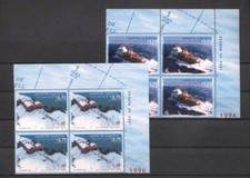 (948652) Ship, Antarctics
