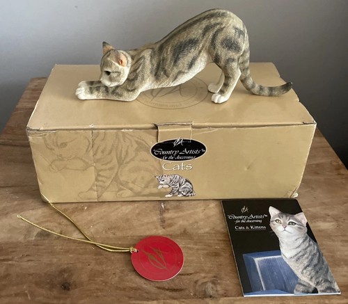 Country artists cats - artists, tabby