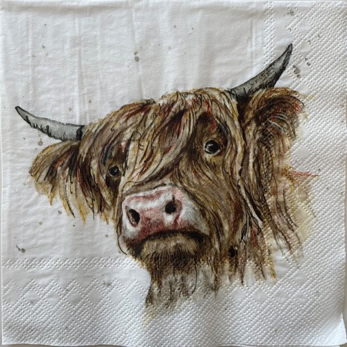 Luncheon paper napkins - 2, for