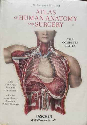 Atlas human anatomy and - human,