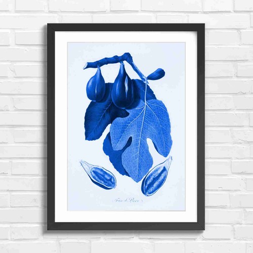 Botanical vintage fig - vintage,