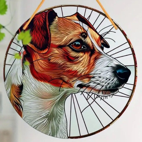 Sale jack russell - sale!, ❤️