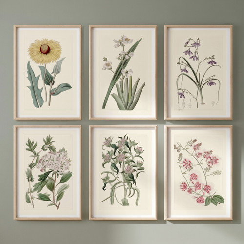 Set vintage meadow art - set,