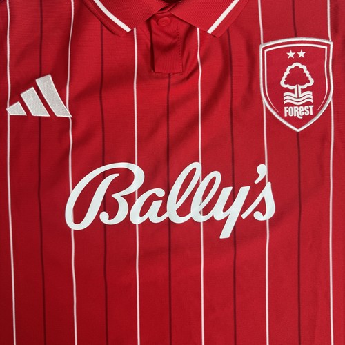 Nottingham forest football - nottingham,
