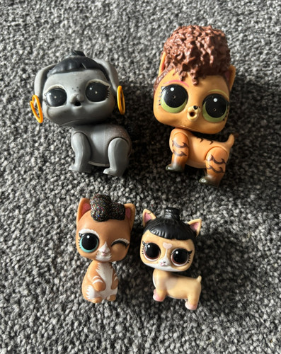 Job lot lol surprise - job,