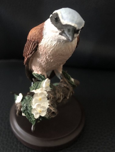 The country bird - the,