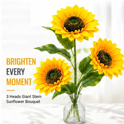 Heads giant stem sunflower - heads,