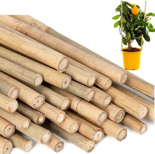 3ft bamboo garden canes - x,