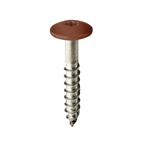 Coloured cladding screws x - coloured,