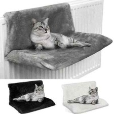 Cat Kitten Hanging Radiator