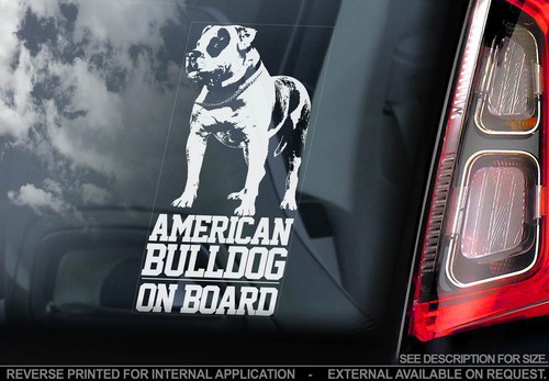 American bulldog car - american,