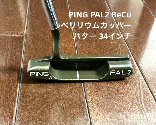 Ping pal2 becu - pal2,