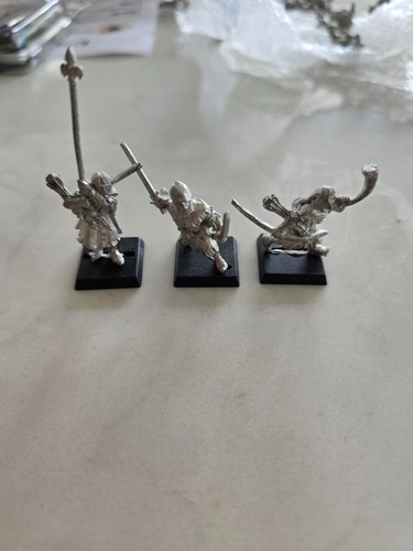 Bretonnian squires command - bretonnian,