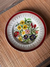 Myott plate hand painted CM