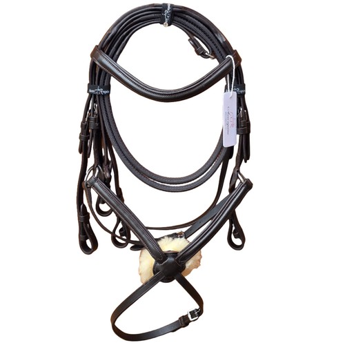 Premium mexican grackle horse - premium,