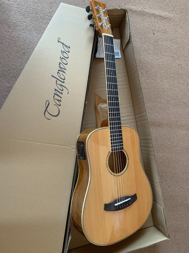 Guitar and gig bag - gig,