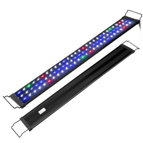 Zjl 80a led - led, fish
