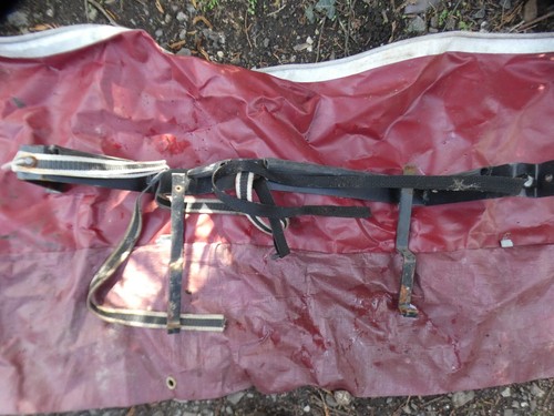 Caravan gas bottle securing