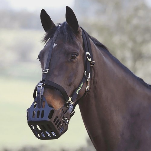 Green guard muzzle with - green,
