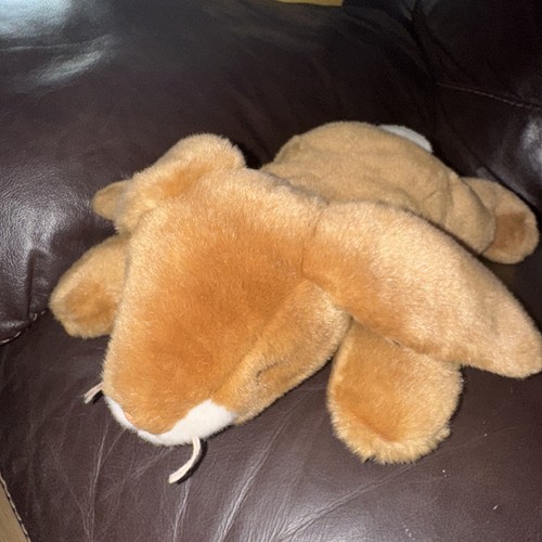 Beanie buddies ears - ty, the