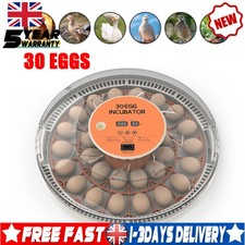 12/30, Eggs Fully Automatic