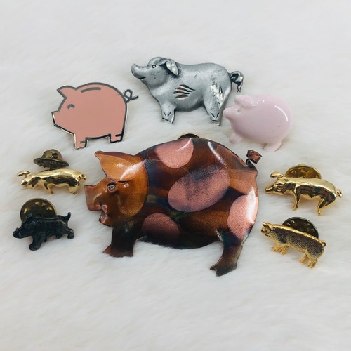 Pot belly pig farm animal - pot,