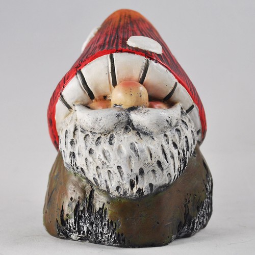 Mushroom gnomes little fun - little,