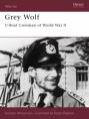 Osprey warrior grey wolf - osprey, 36: