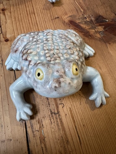Bordallo pinheiro frog - pinheiro, frog/toad
