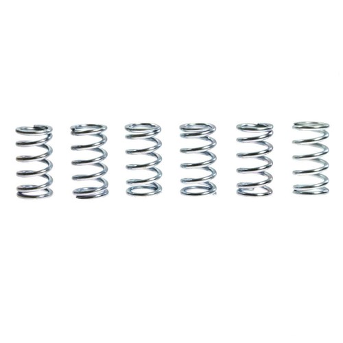 Trw clutch springs kit - springs, (6