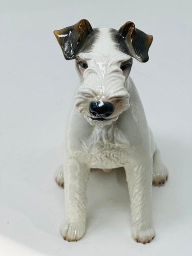 Nymphenburg porcelain wirehair - porcelain,