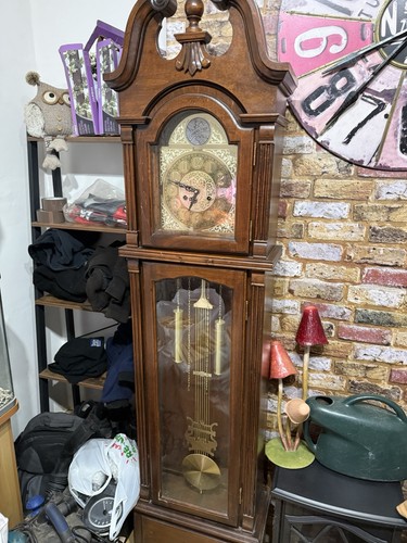Tempus fugit grandfather clock - tempus,
