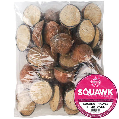 Squawk suet filled coconut - filled,