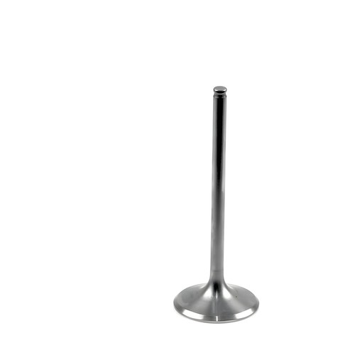 Titan intake valve athena - titan,