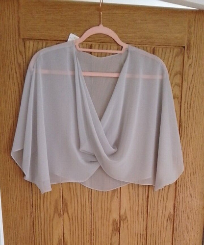 Lizabella silver grey sheer - bn,