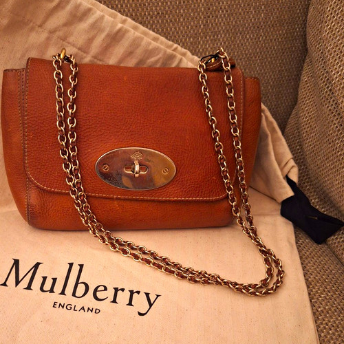 Mulberry regular lily oak - lily, in