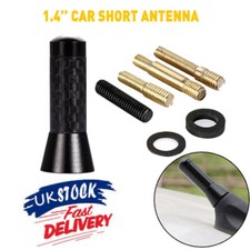 Black For Aerial Bee Sting