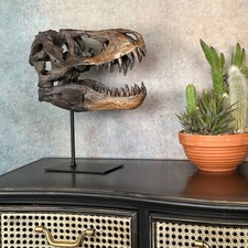29cm T-Rex Skull Head Dinosaur Skull on Stand TRex Free-standing Fossil Skull