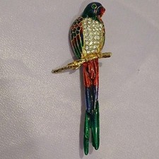 Huge Tropical Parrot Bird