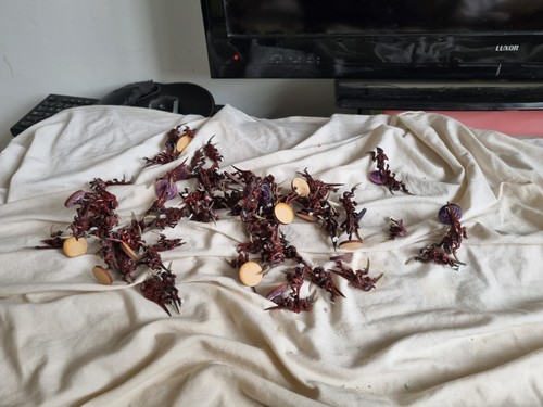 Tyranid hormagaunts - tyranid,