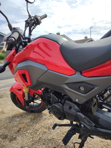 2016 honda msx125 grom - honda, —