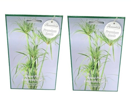 Pack russell s premium - 2,