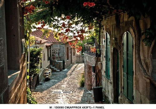 Flower walk path - path, garden