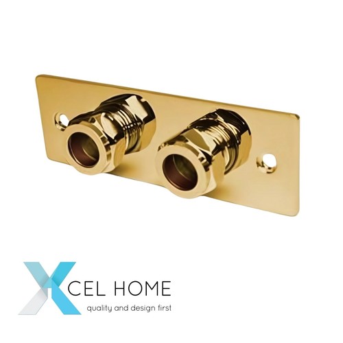 Gold douche wall plate - douche,