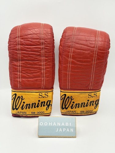Winning boxing bag - boxing, punching